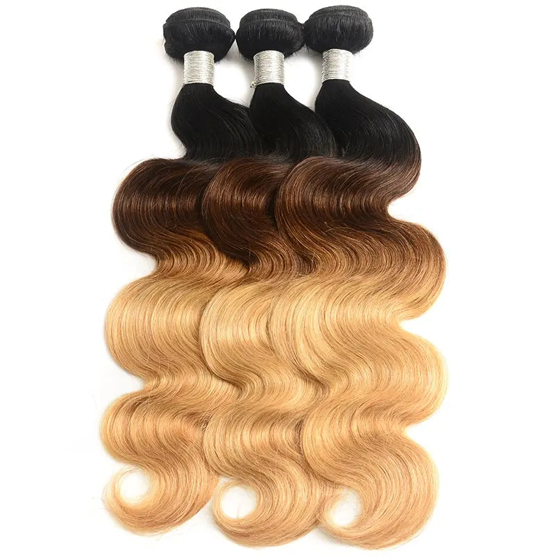 Ombre bundles 1