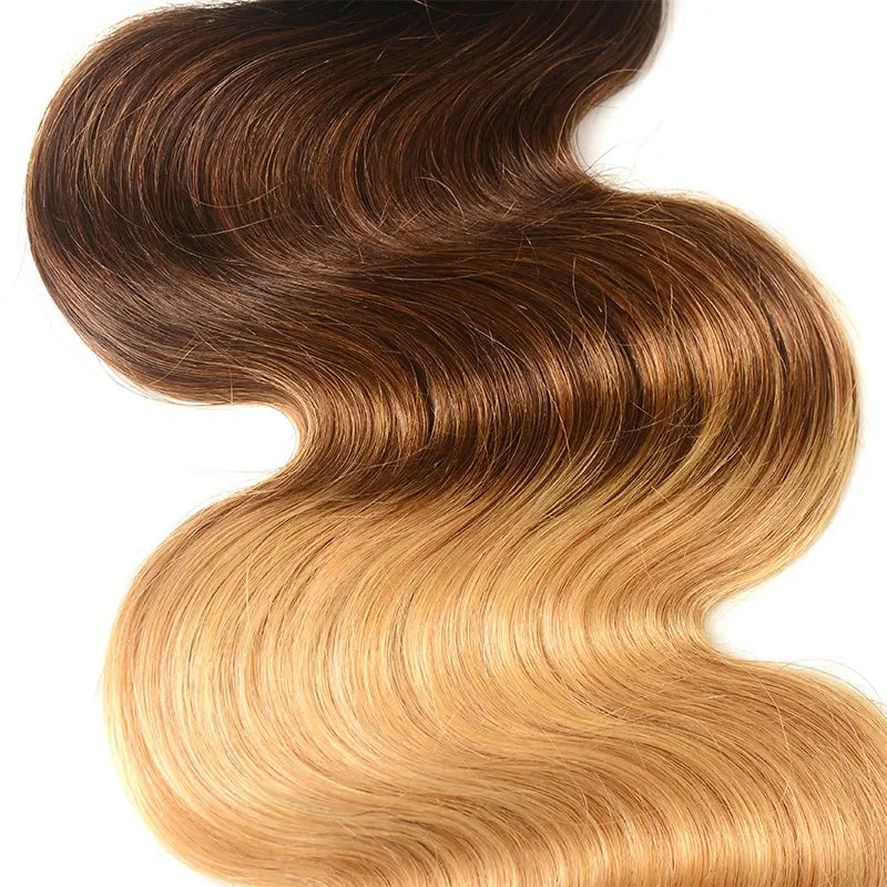 Ombre bundles 5